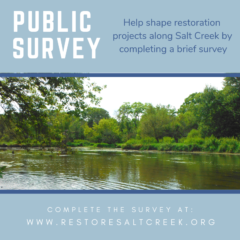 https://2026staging.dgsd.org/wp-content/uploads/Survey-Social-Media-Post-Restore-Salt-Creek-240x240.png